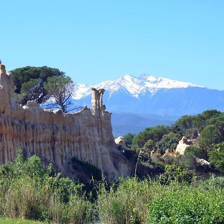 Вилла Chalet Mont Canigo Corneilla-de-Conflent Экстерьер фото