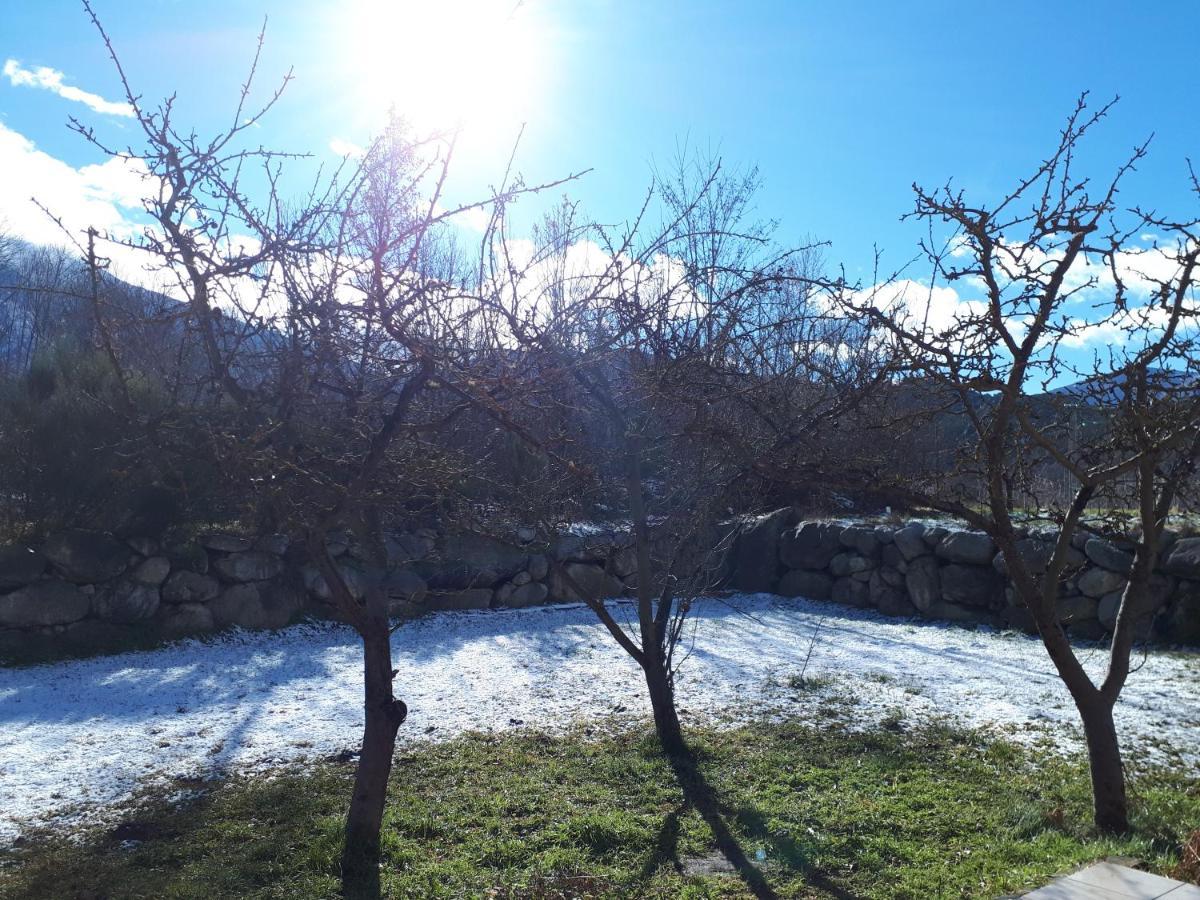 Вилла Chalet Mont Canigo Corneilla-de-Conflent Экстерьер фото