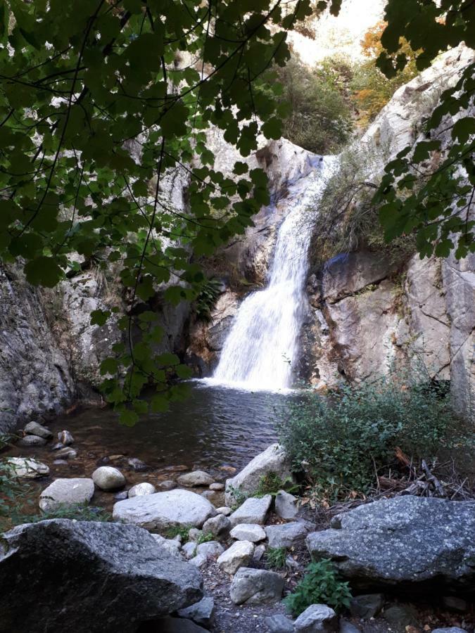 Вилла Chalet Mont Canigo Corneilla-de-Conflent Экстерьер фото