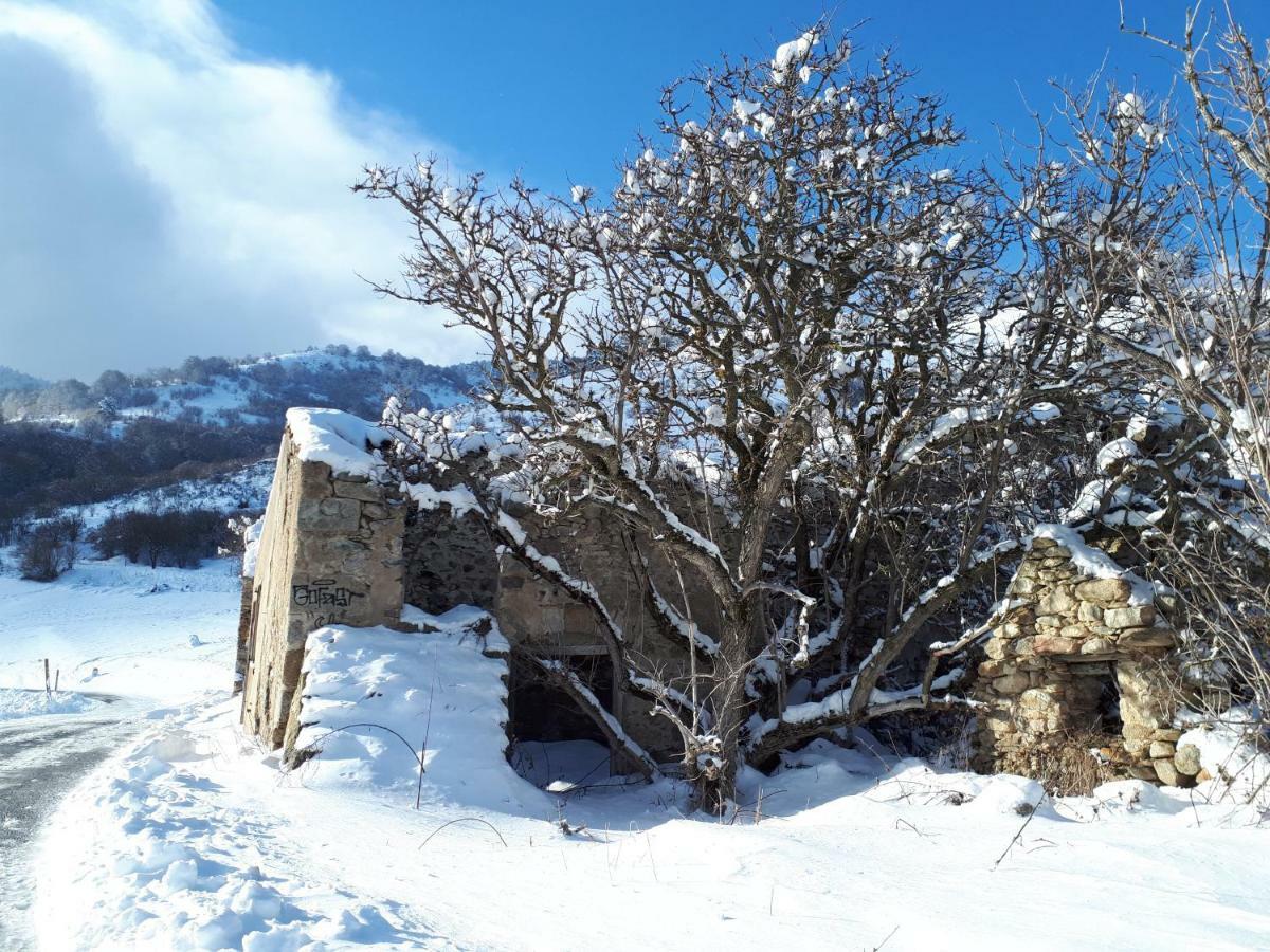 Вилла Chalet Mont Canigo Corneilla-de-Conflent Экстерьер фото